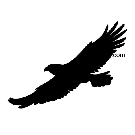 Falcon Png image with transparent background for free, Falcon, (13) - Photo #5888 - Pngdow ...