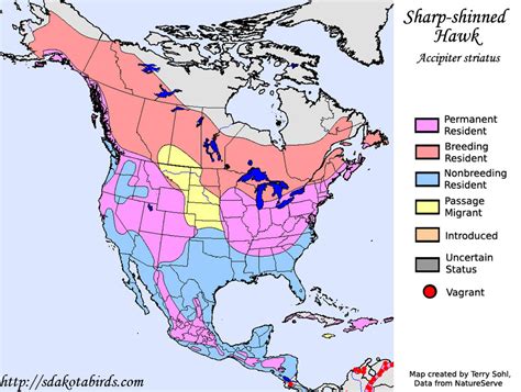 Sharp-shinned Hawk - Species Range Map