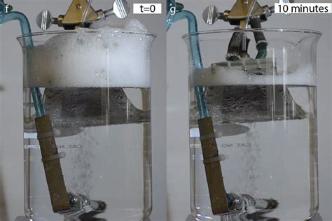 Bubble-capturing surface helps get rid of foam | MIT News ...