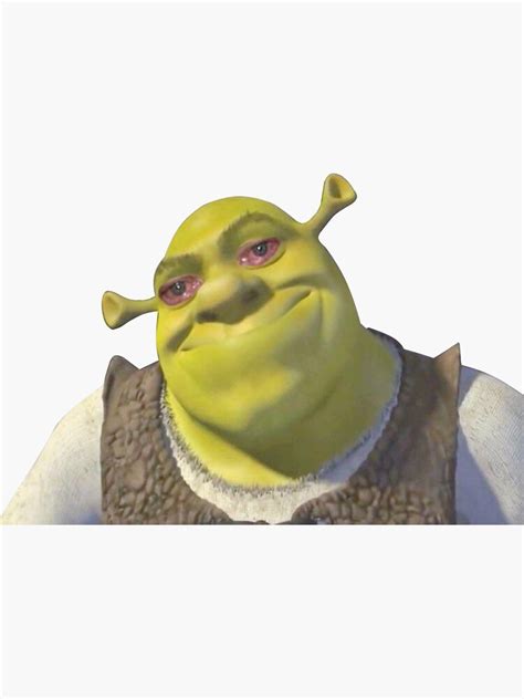 "Shrek Crying Meme Sticker" Sticker by MartinDanko | Redbubble