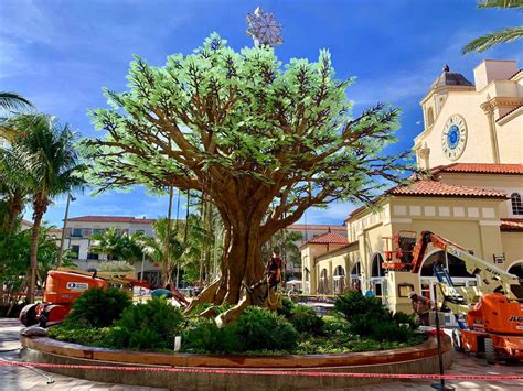 Rosemary Square unveils Wishing Tree at holiday kickoff 🌳 ️