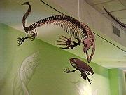 Category:Upper Cretaceous fossils from the United States - Wikimedia Commons