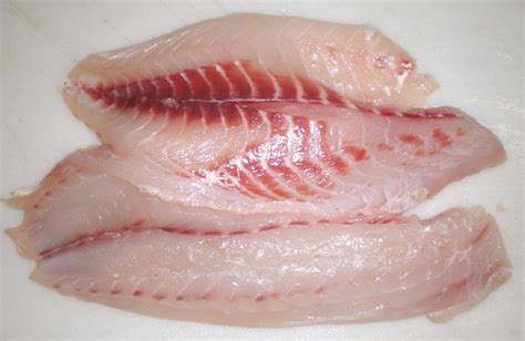 Sheepshead Facts and Nutritional Value