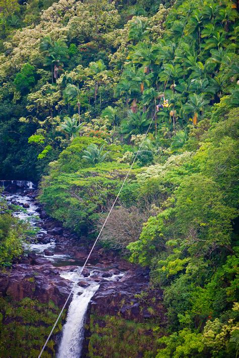 Big Island Zipline Tour in Akaka Falls, Hawaii - Zipline.com