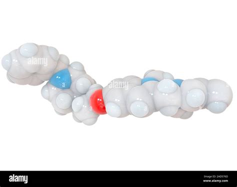 Monoamine oxidase and inhibitor complex, molecular model. Computer illustration showing the ...