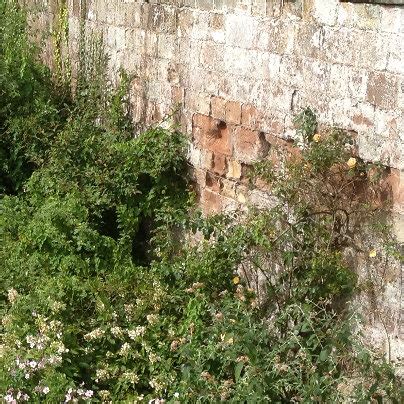 Eccleshall Castle - Staffordshire