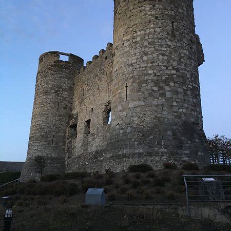 Carlow Castle (County Carlow) - 2020 All You Need to Know BEFORE You Go (with Photos) - Tripadvisor