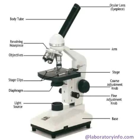 [DIAGRAM] Biological Diagram Of Simple Microscope With Label ...