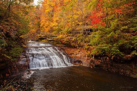 Fall colors at Kinlock Falls in the Bankhead National Forest... From ...