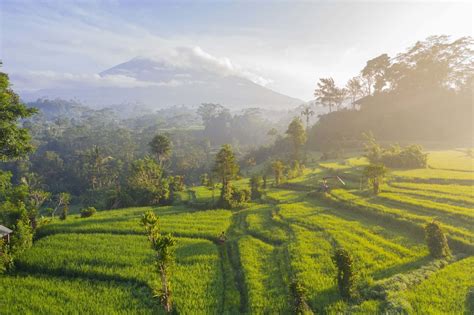 Emma in Bali (Udayana University) - Asia Exchange