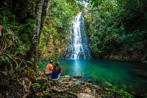 What's Forest Bathing? | Embracing the Belize Rainforest - Travel Belize