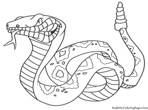 Desert Animals Coloring Pages - Coloring Home