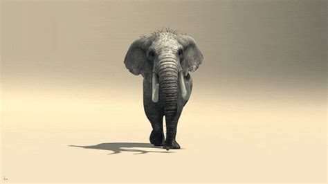 Animate an Elephant Walk Cycle