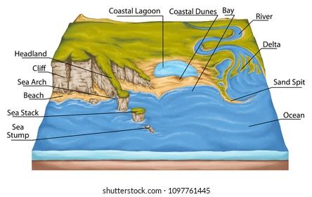 Types Continental Landform Coastal Landforms Coastal: ภาพประกอบสต็อก ...