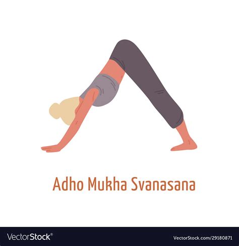 Yogi female in adho mukha svanasana posture Vector Image