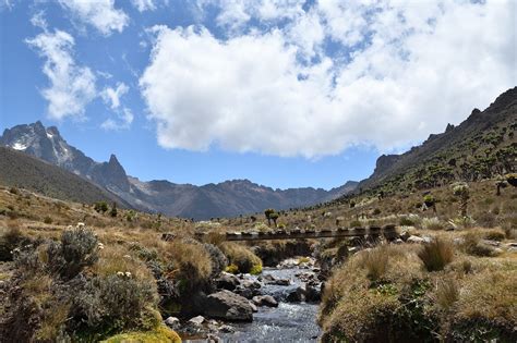 Mount Kenya River Stream - Free photo on Pixabay - Pixabay