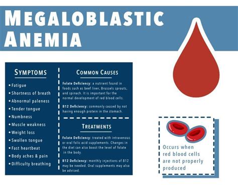 What Is Megaloblastic Anemia?