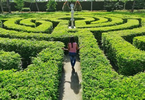 Amazing maze garden at The Labyrinth in Toledo City