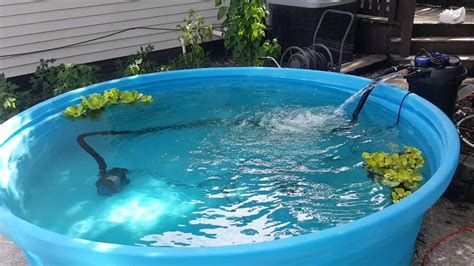 5 Benefits of Stock-Tank Pools - homeyou