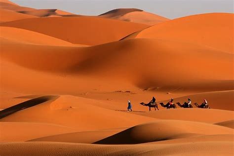 Camel Trekking in Merzouga (Casablanca): All You Need to Know