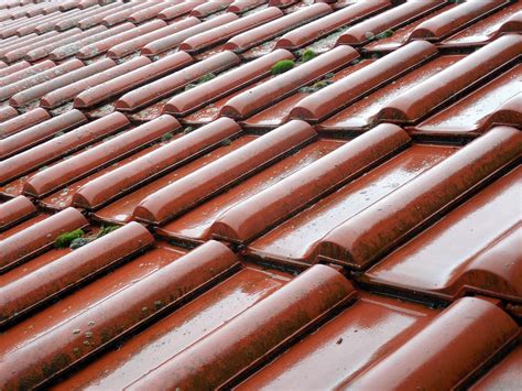 Homemade Roof Moss Killer Recipe | E and L Roofing