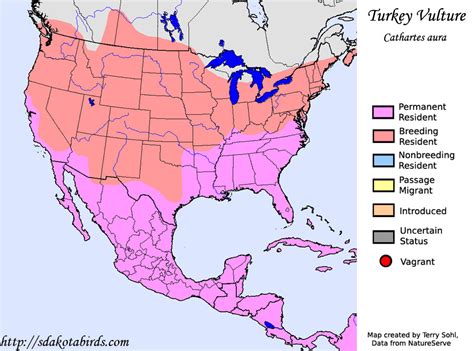 Turkey Vulture - Species Range Map