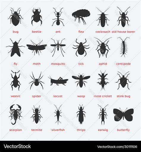 Pest control insect black silhouette set Vector Image