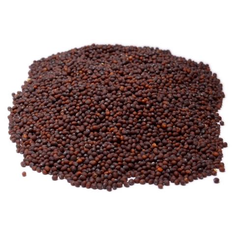 Brown Mustard Seed | Bulkfoods.com