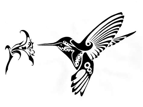 Hummingbird Drawings Free | Free download on ClipArtMag