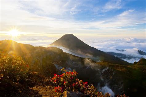 Exploring Gunung Gede Volcano & Park in Indonesia