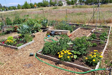 Top 20 Community Garden Ideas For Inspiration / FresHOUZ.com ...