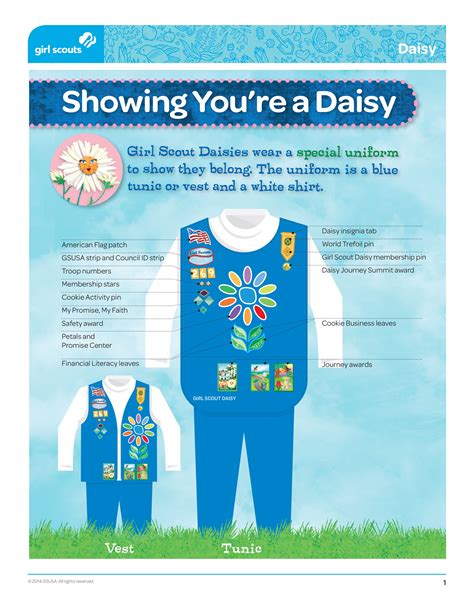 Daisy Uniform | Daisy girl scouts, Girl scout uniform, Girl scouts