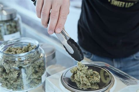 Cannabis Extract: Marijuana Extraction Methods | Canna Clinic