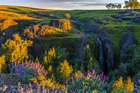 Long hike, nice flowers and waterfalls - Table Mountain, Oroville ...