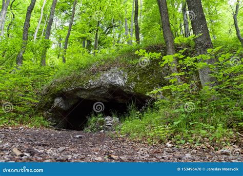 Small cave in forest stock photo. Image of zniev, beautiful - 153496470