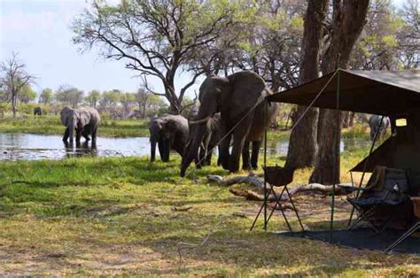 How Much Does a Botswana Safari Cost: Botswana Safari Prices