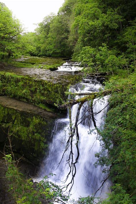 Cachoeiras | Waterfalls