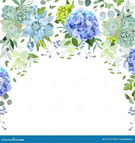 Light Blue and Green Hydrangea, Echeveria, Eucalyptus Stock Vector ...