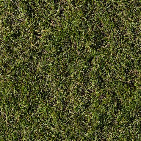 HIGH RESOLUTION TEXTURES: Seamless Grass Texture