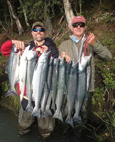 Packages - Kenai River Fishing Guides | Alaska Streamers