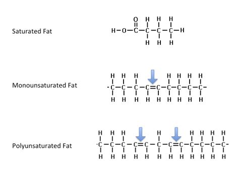 The Ultimate Diet to Build Muscle and Lose Fat