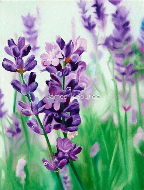 "Lavender Lovers - oil painting of lavender blossoms" by James Knowles ...