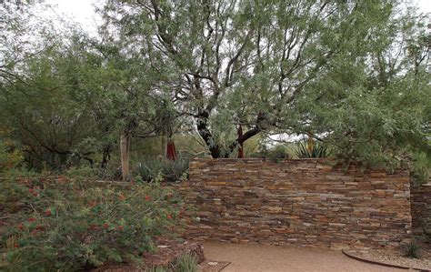 Four Things About The Phoenix Desert Botanical Garden