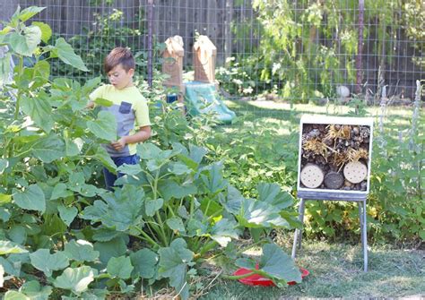 Invite kids into the garden