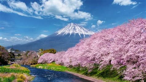 Top 10 Non-Touristy Places to View Mount Fuji (Shizuoka Guide)