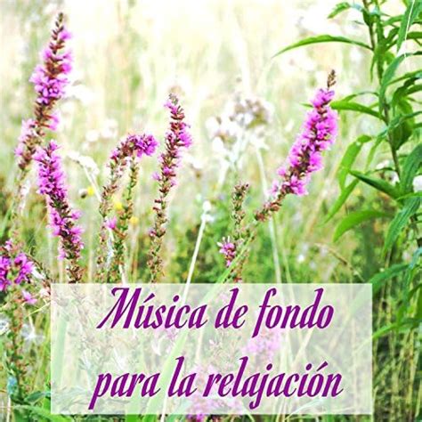 Amazon Music - Música relajante con sonidos de la naturalezaのMúsica de fondo para la relajacion ...