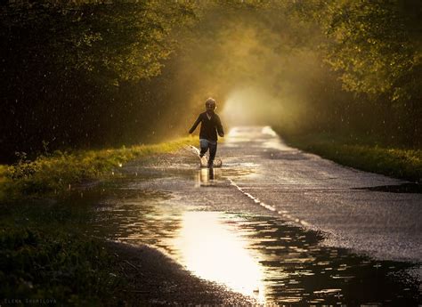 summer rain | Summer rain, Photo, Rural landscape