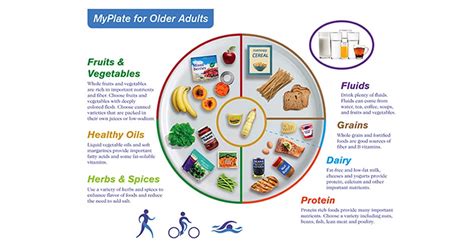 Nutrition for Seniors: MyPlate Infographic and the Importance of Healthy Eating - Hellocare