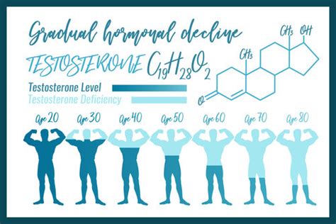 Male Healthy Aging is Impacted by Testosterone Levels