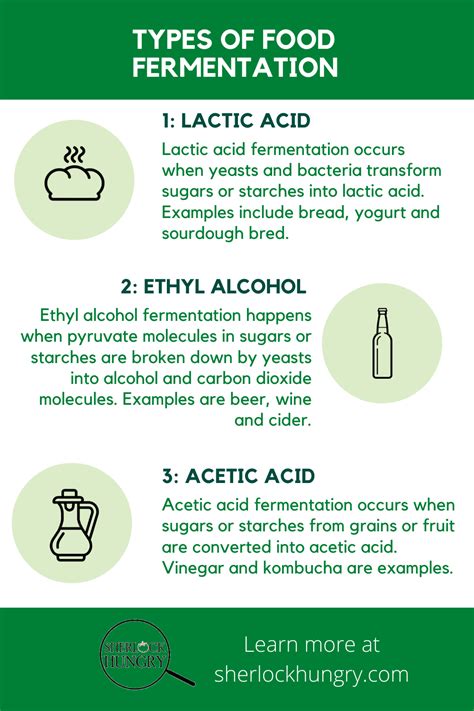 3 basic types of Food Fermentation | Fermented foods, Fermentation, Food